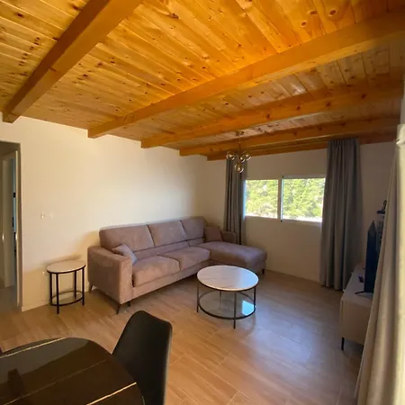 Appartement Penthouse